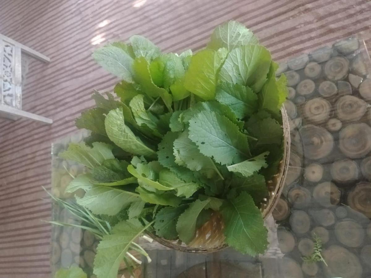 阿斯塔尔水疗度假村 Rishīkesh 外观 照片