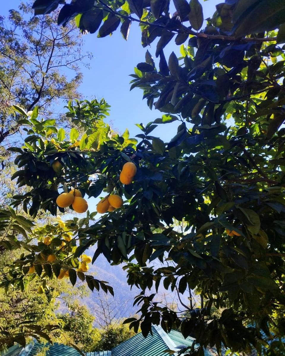 阿斯塔尔水疗度假村 Rishīkesh 外观 照片